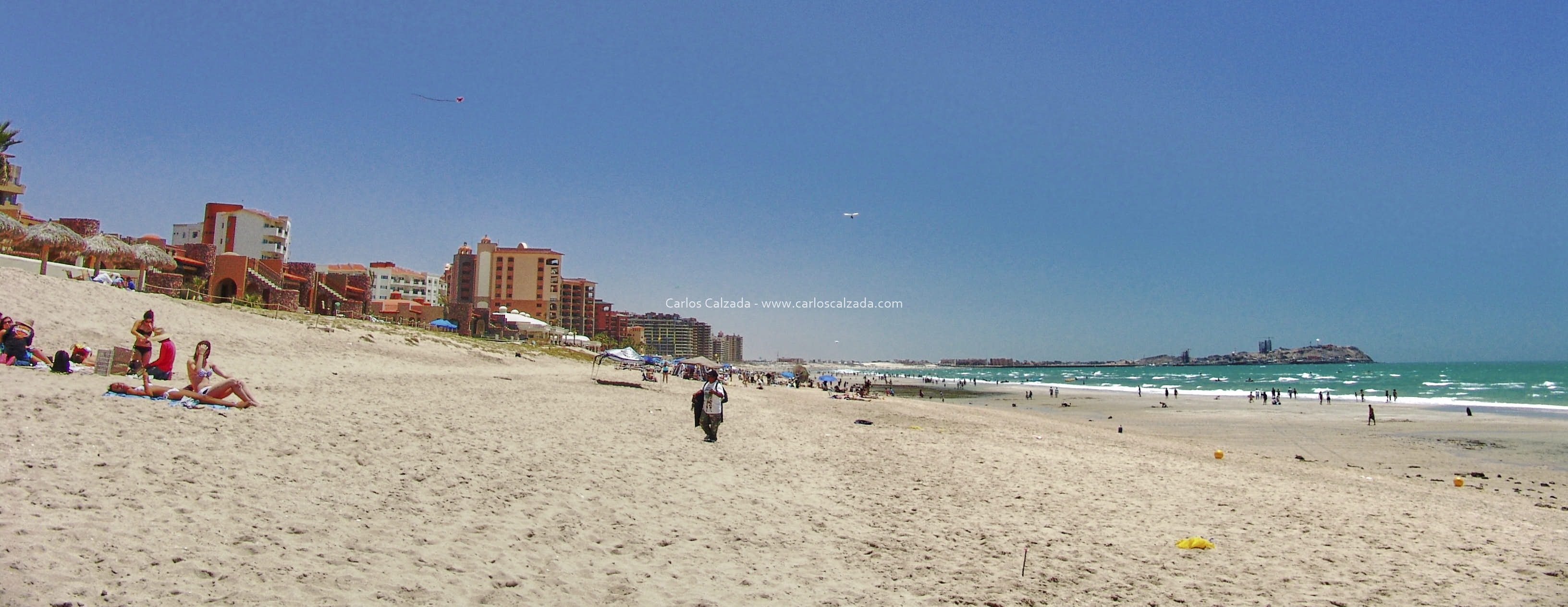 Arenosa_2008 (12).jpg